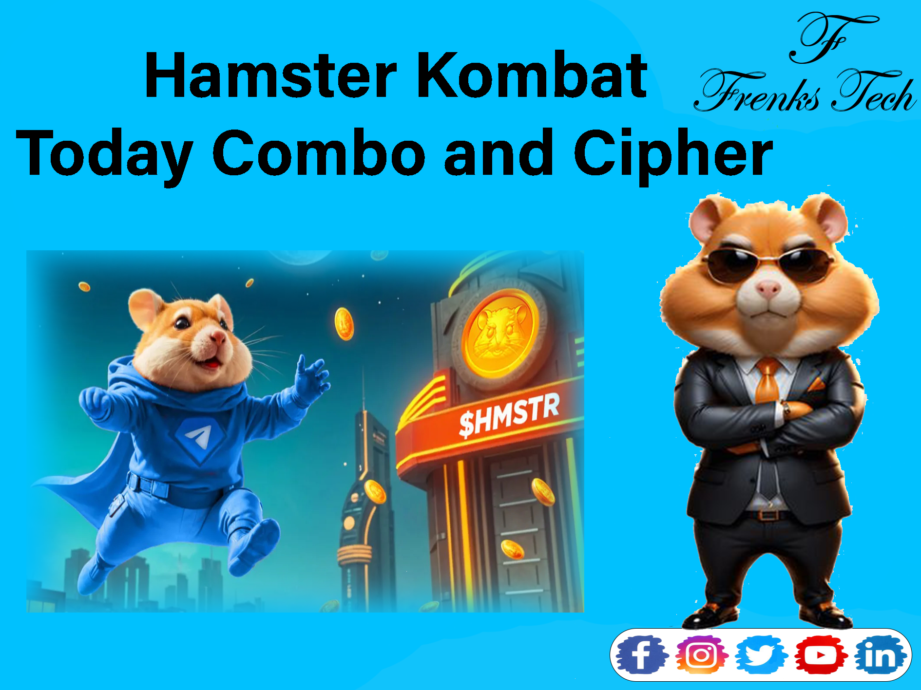 Hamster Kombat Daily Combo And Cypher in Hindi